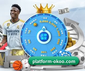 platform-okoo.com APP 深度功能 | aoko